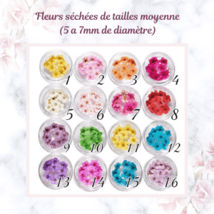 fleur séché pour personnalisation de bijou au lait maternel