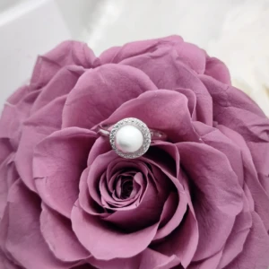 Bague Poudre de lait - Au lait Maternel en poudre